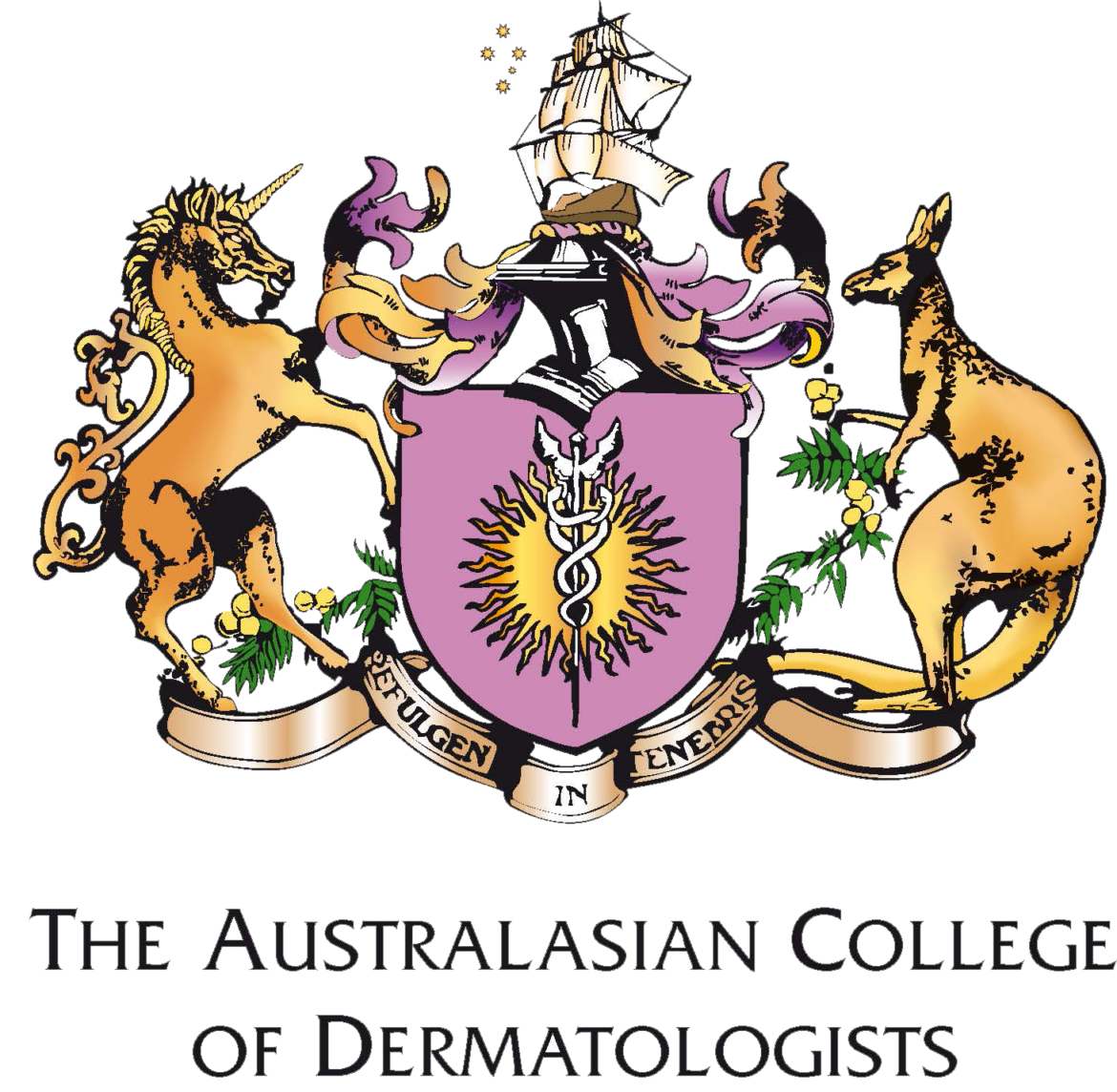 ACD_Logo_no_background.png